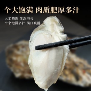 5斤乳山生蚝鲜活新鲜特大海蛎子海鲜牡蛎水产整箱商用批发2箱10斤