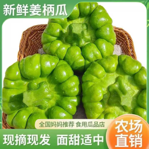 南瓜云南特产姜柄瓜农家自种嫩南瓜新鲜蔬菜现摘农场姜饼瓜小南瓜