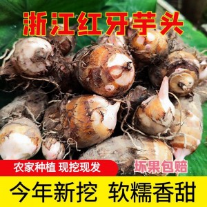 浙江台州红芽芋头新鲜蔬菜小芋头粉糯软滑芋艿农家小芋子毛芋仔大