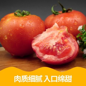 正宗普罗旺斯沙瓤西红柿5-9斤装自然熟山东非铁皮柿子水果大番茄